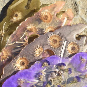 Doplňky k alkoholickým nápojům